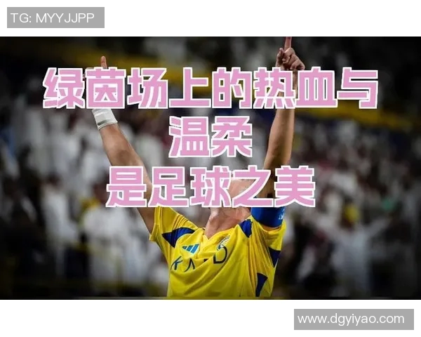 追逐足球明星的女孩们：她们的热情与梦想交织的故事